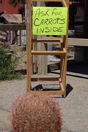 carrots sign